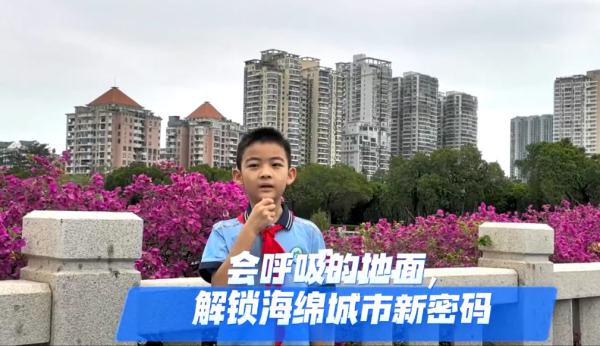 2024“鹭岛好评”网络评论大赛获奖作品——《会呼吸的地面，解锁海绵城市新密码》